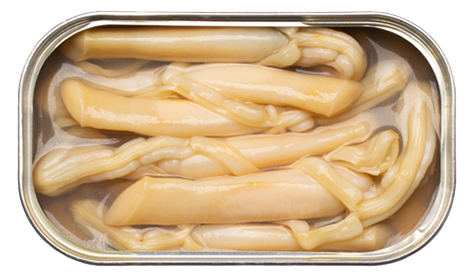 Razor Shell in Brine - Image 3