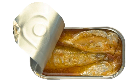 Sardine in Organic Tomatoes Sauce - Image 3